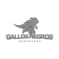 gallos-negros