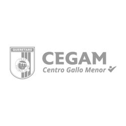 CEGAM