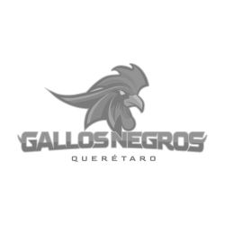 Gallos-Negros